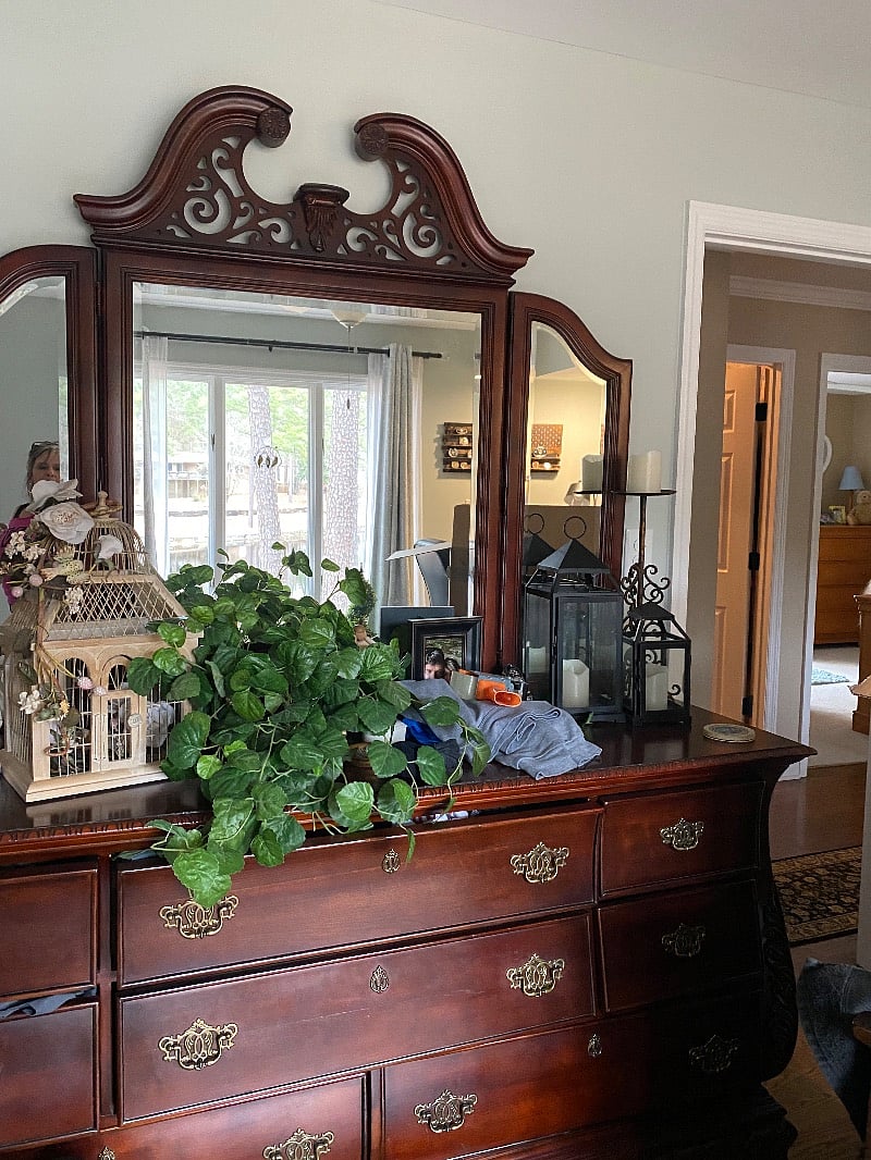 Furnished Finder property 486850_1 photo 8