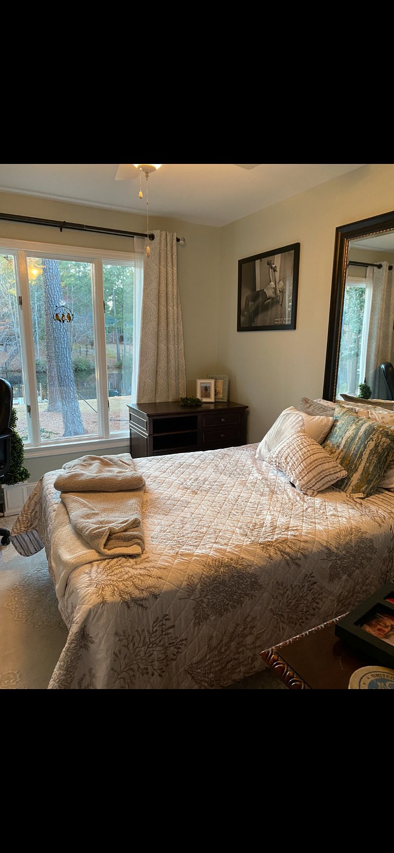 Furnished Finder property 486850_1 photo 20