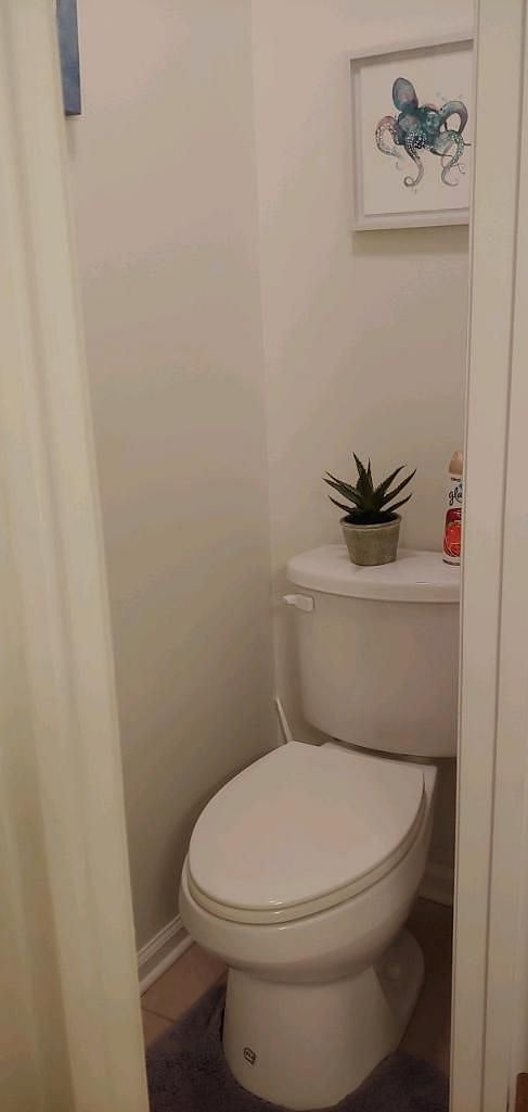 Furnished Finder property 487009_1 photo 19