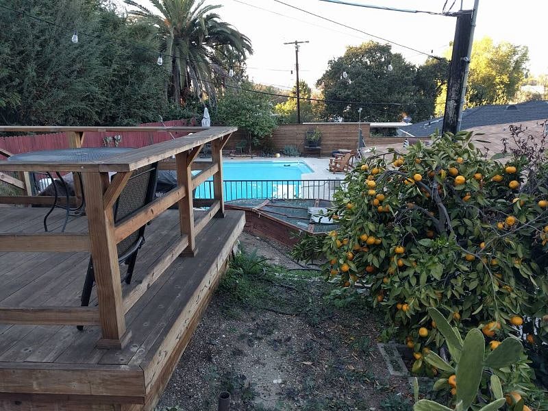 Off the deck we have a mandarin orange tree that fruits during colder months.