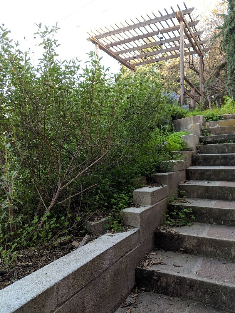 These steps lead up to the dual-level deck, bordering our hummingbird native plant garden.