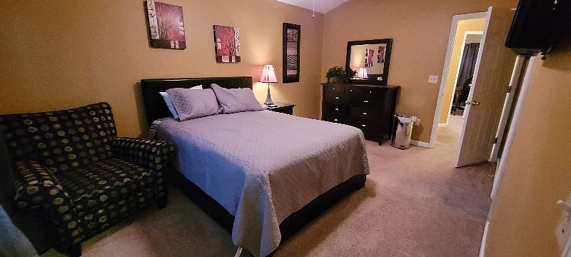 Furnished Finder property 487080_1 photo 29