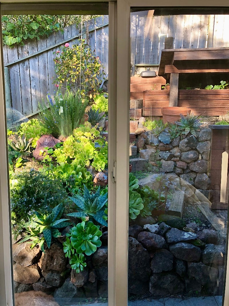 Bedroom view towards garden (your entrance)