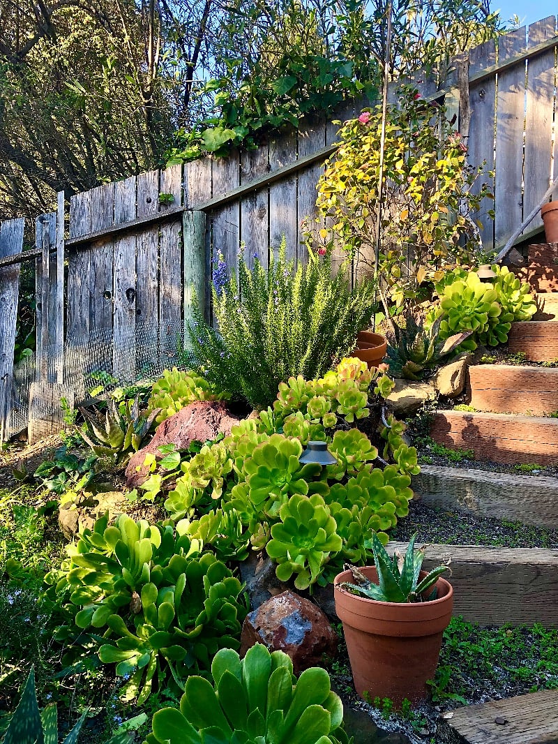 Stairs to your patio