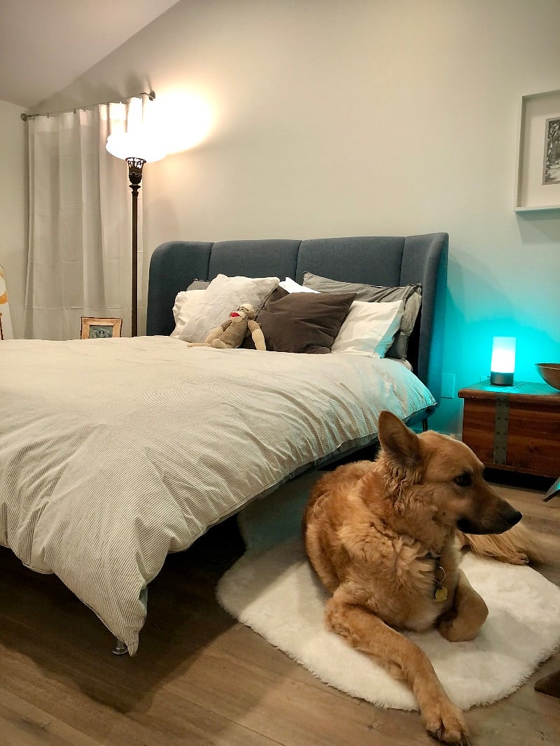 Bedroom has a desk in front of a window as well