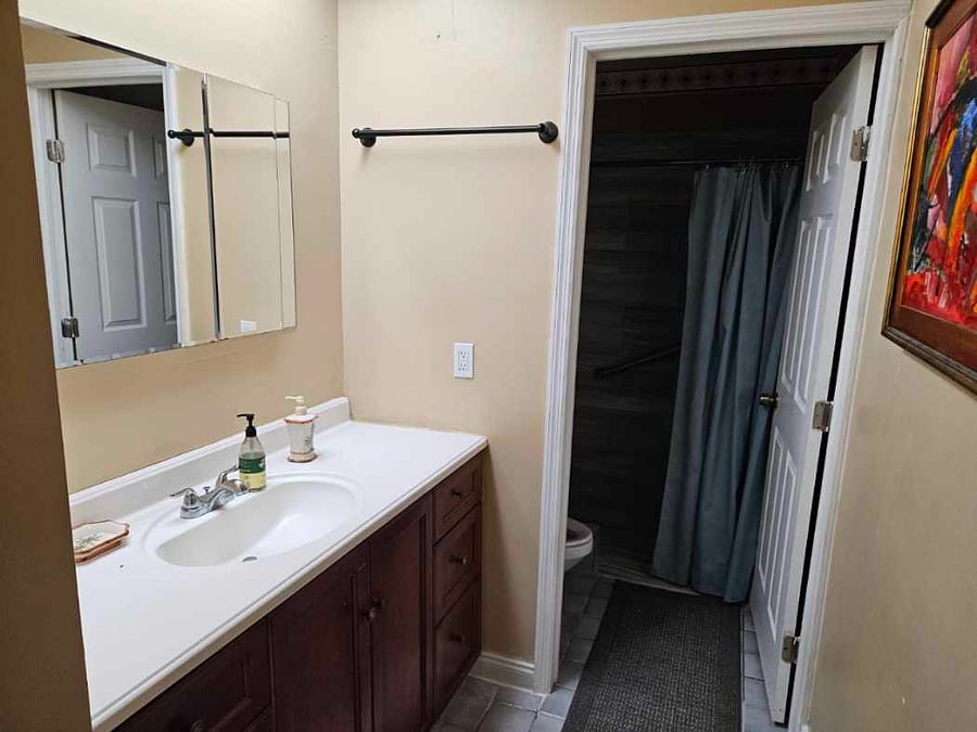Bathroom 2 walk-in shower