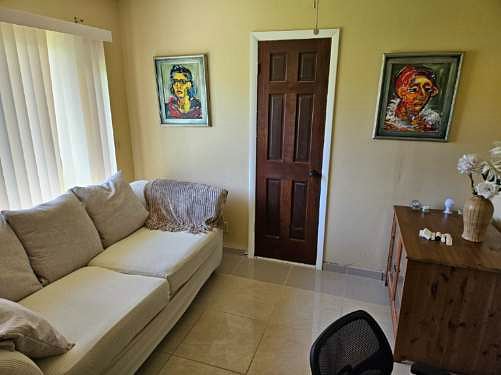 Bonus room pull out sofa