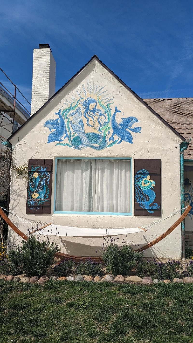 Nothing calms the nervous system like 15 minutes in the hammock looking up at the artwork and sky.