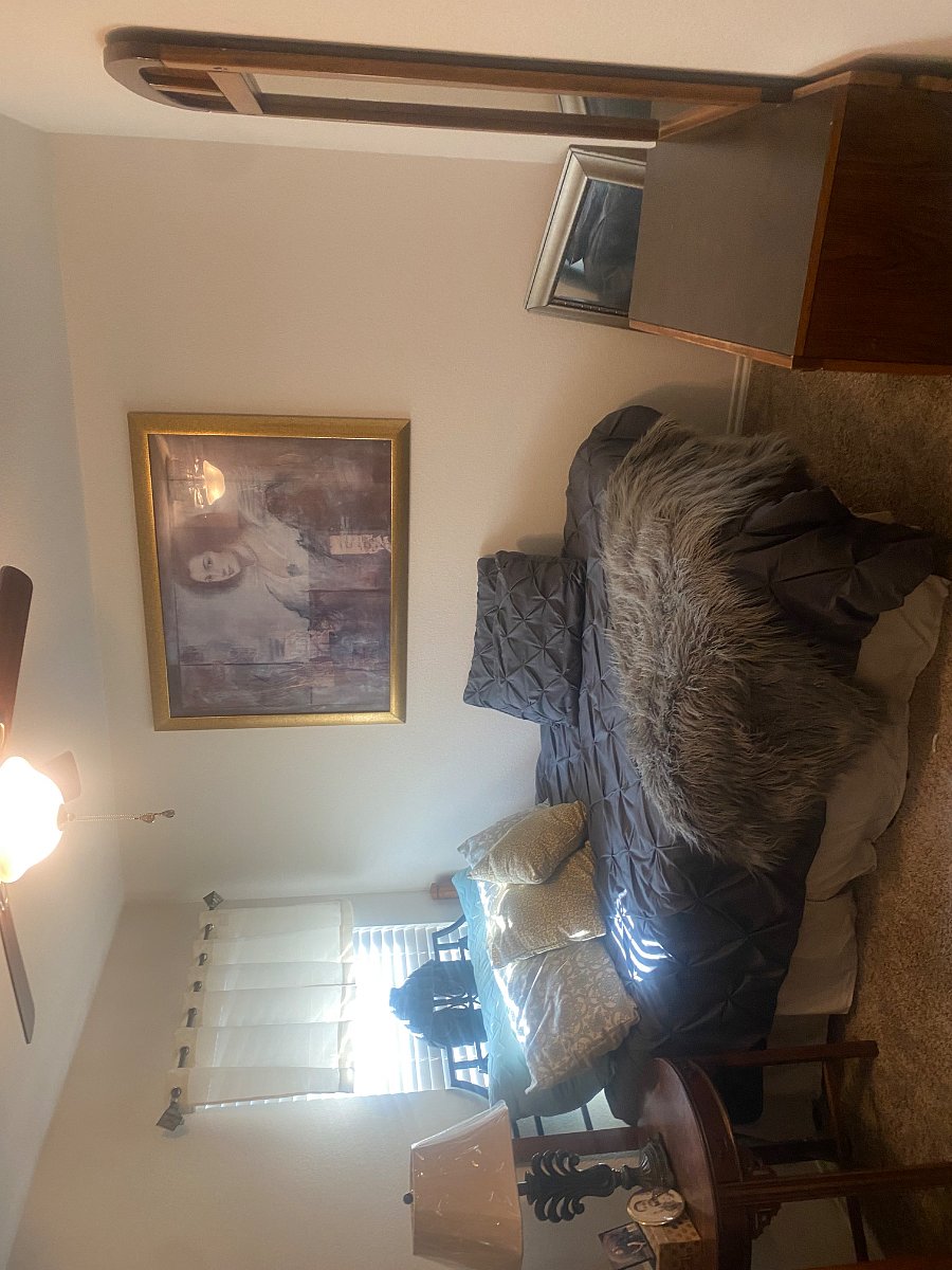 Furnished Finder property 488029_1 photo 12