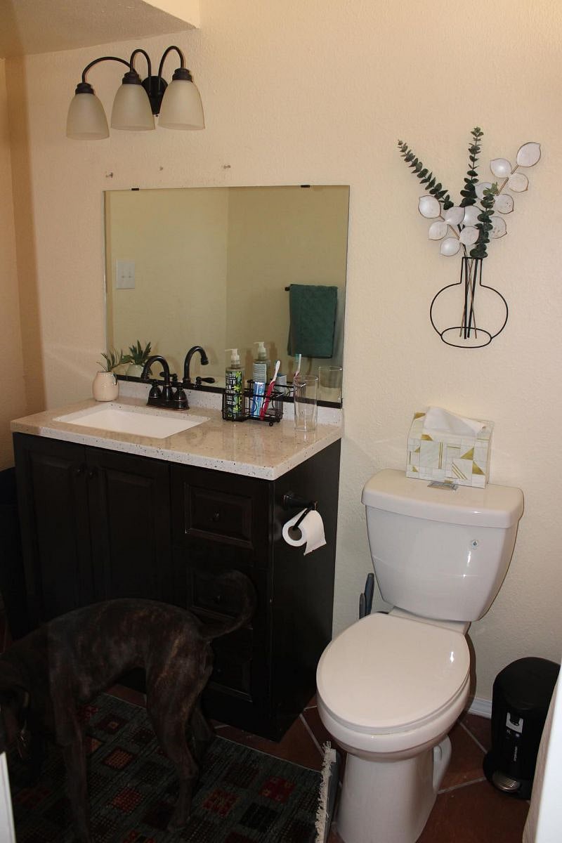 Furnished Finder property 488074_1 photo 6
