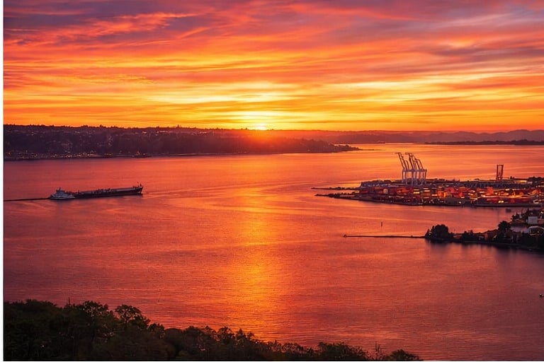 Just sit & soak it all in!