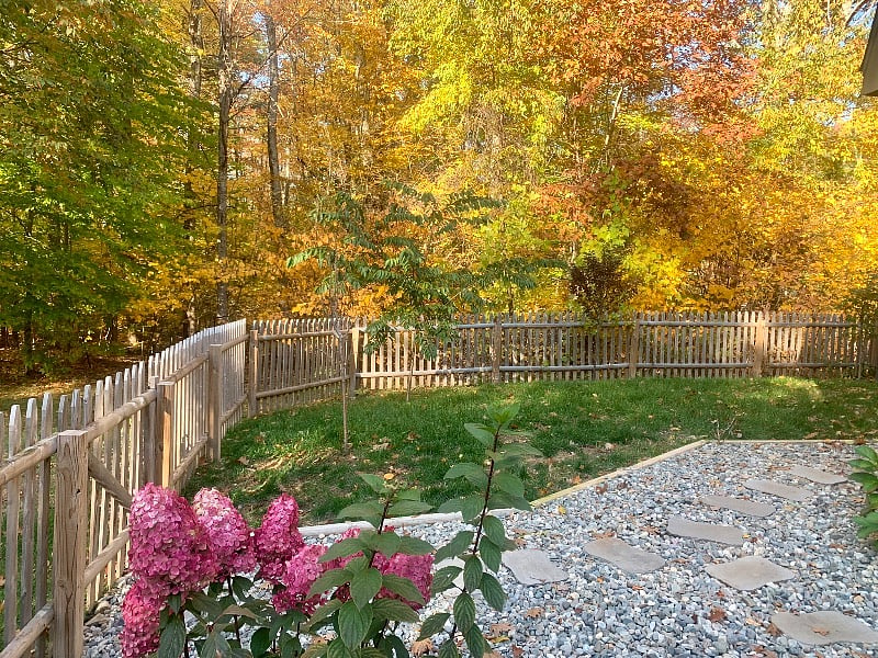 Furnished Finder property 488144_1 photo 14