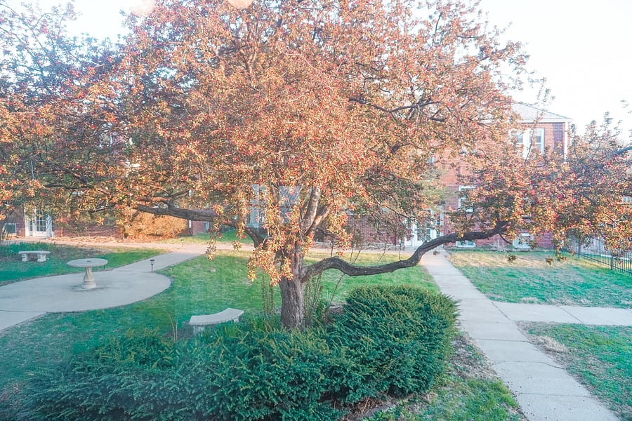 Furnished Finder property 488170_2 photo 17