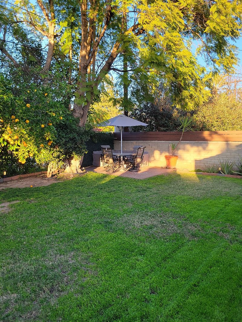 Furnished Finder property 488243_1 photo 39