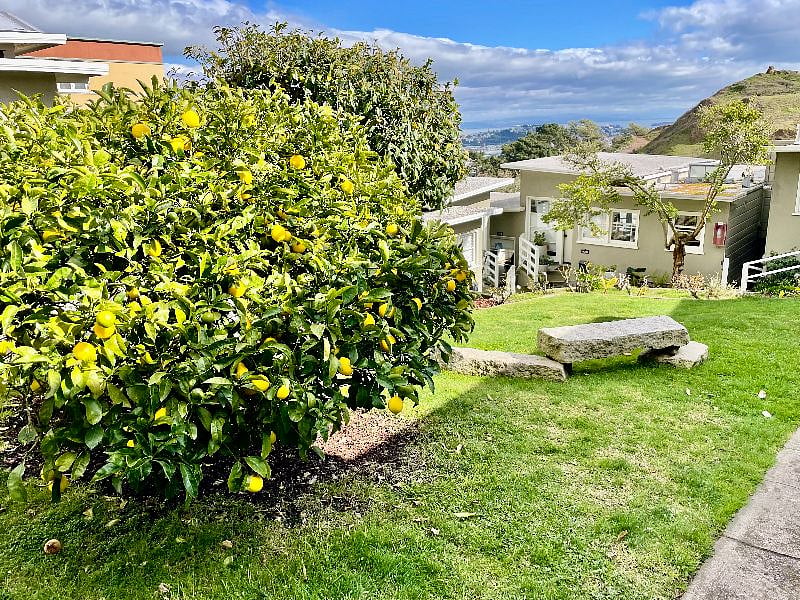 View from courtyard entrance and yes you can pick the lemons! :-)