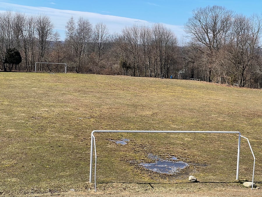 Hike to the hidden soccer field in Bell Hill Park. 
