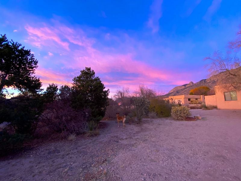 Frontyard sunset