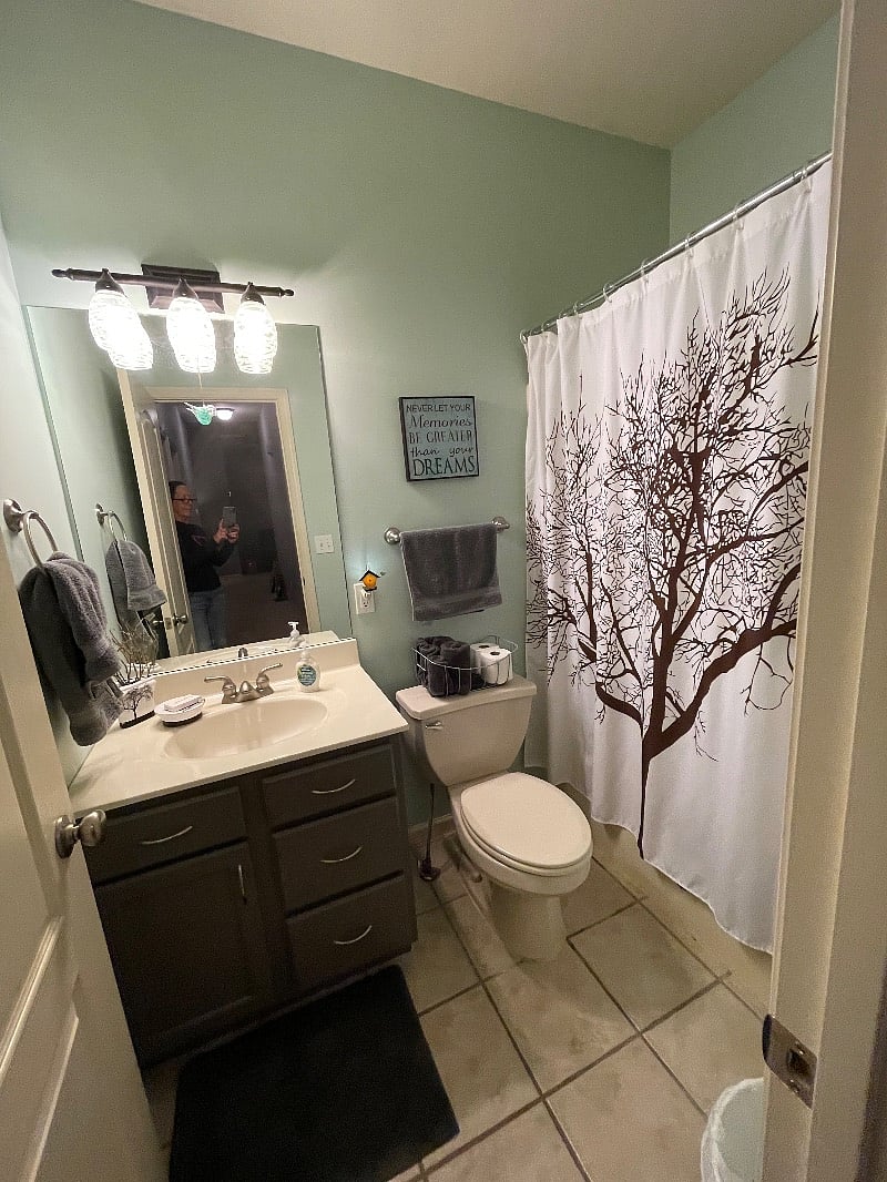 Furnished Finder property 488624_1 photo 12