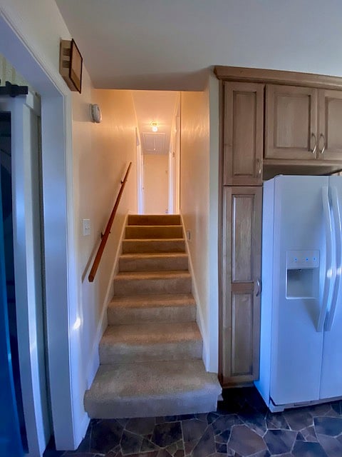 Furnished Finder property 488641_1 photo 11