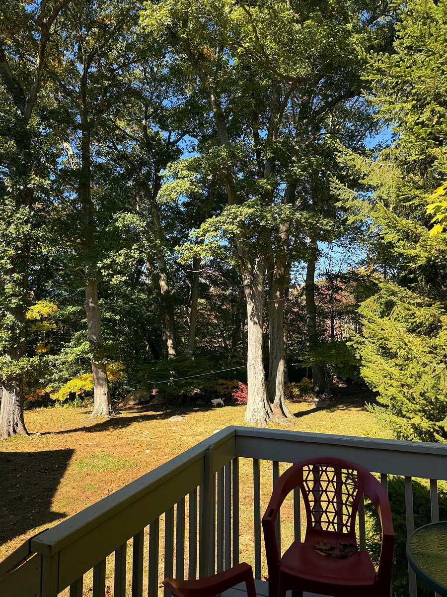 Furnished Finder property 488657_1 photo 11