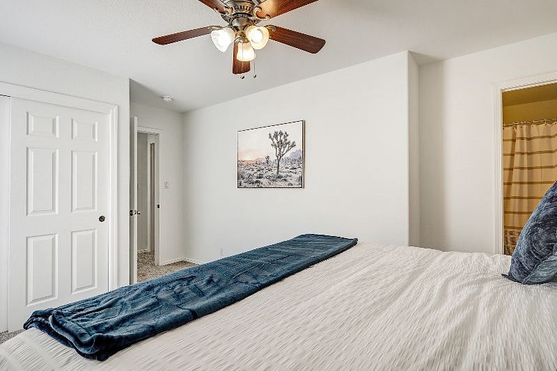 Furnished Finder property 488839_1 photo 21