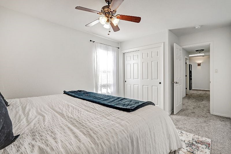 Furnished Finder property 488839_1 photo 23