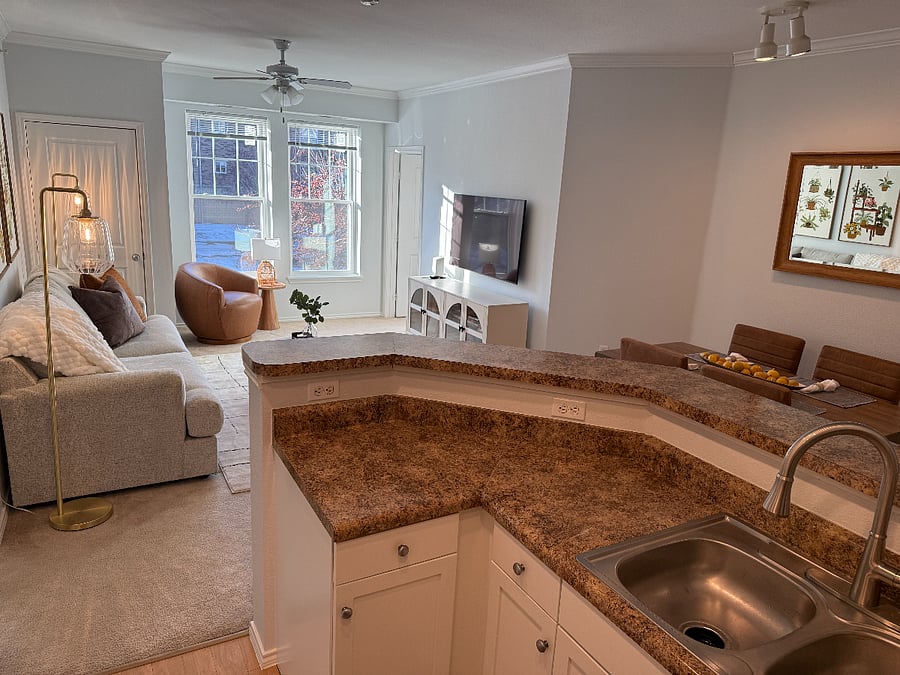 Furnished Finder property 488920_1 photo 4
