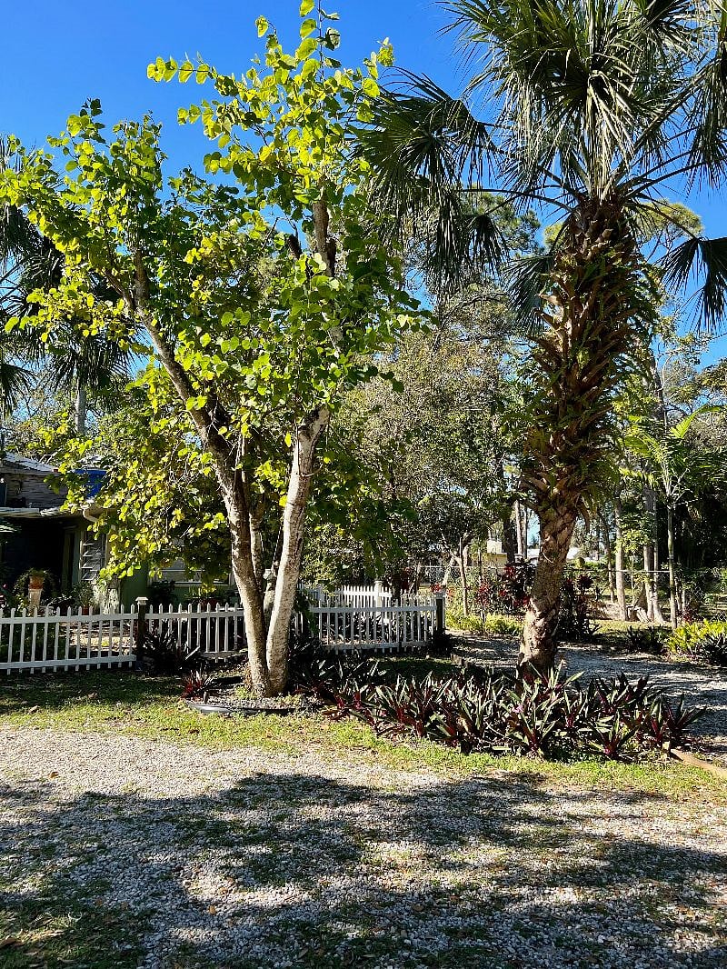 Furnished Finder property 488922_1 photo 20