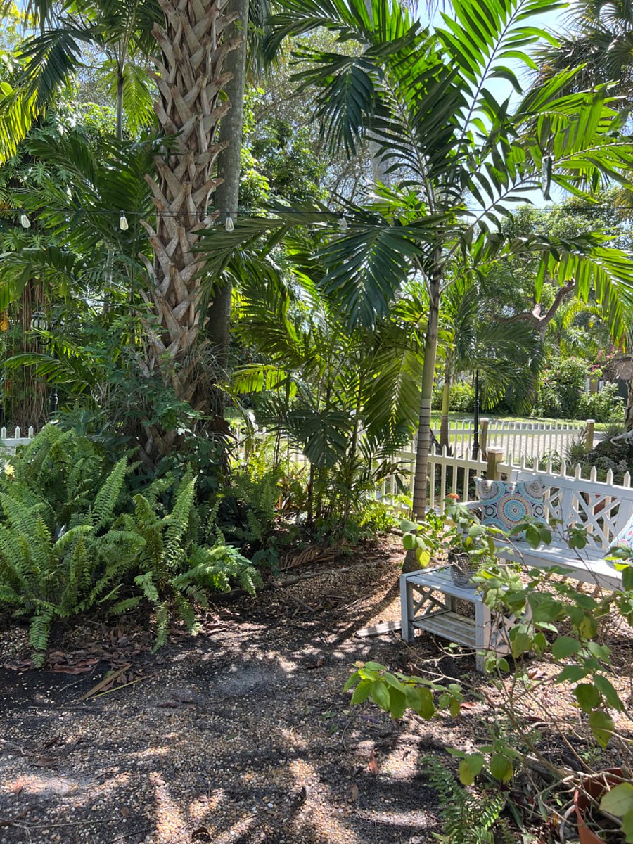 Furnished Finder property 488922_1 photo 23