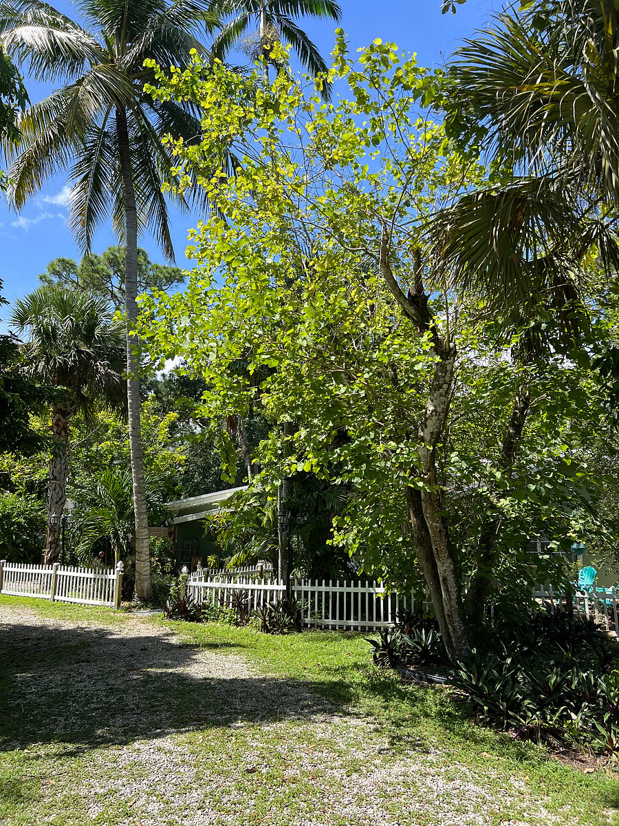 Furnished Finder property 488922_1 photo 24