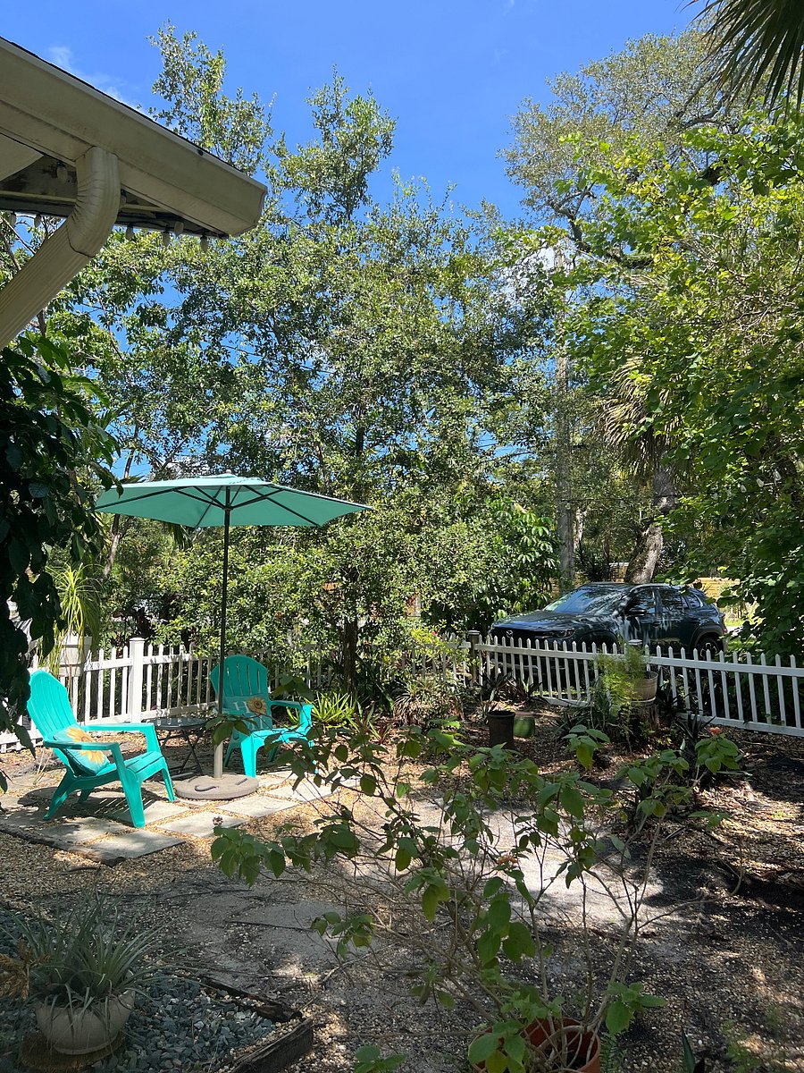 Furnished Finder property 488922_1 photo 21