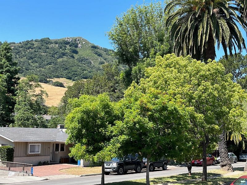 Tiny is at base of Madonna Mt. Lots of open space trails to hike on with a view from the top of ocean, downtown SLO, Seven Sisters peaks.