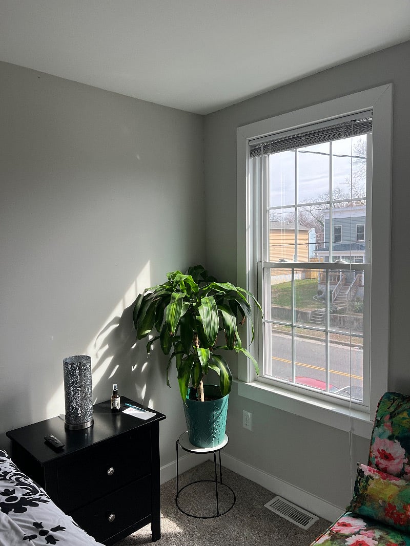 Furnished Finder property 489077_1 photo 13