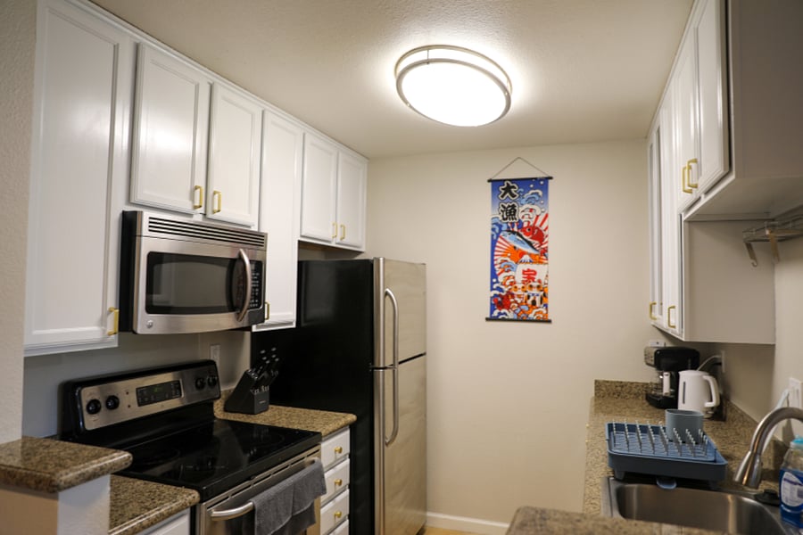 Furnished Finder property 489096_1 photo 32