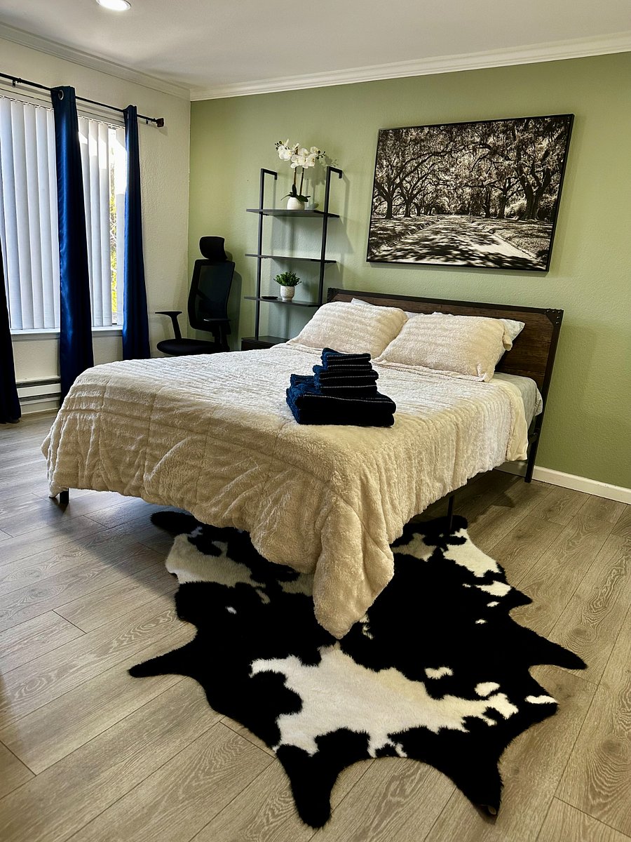 Furnished Finder property 489096_1 photo 15
