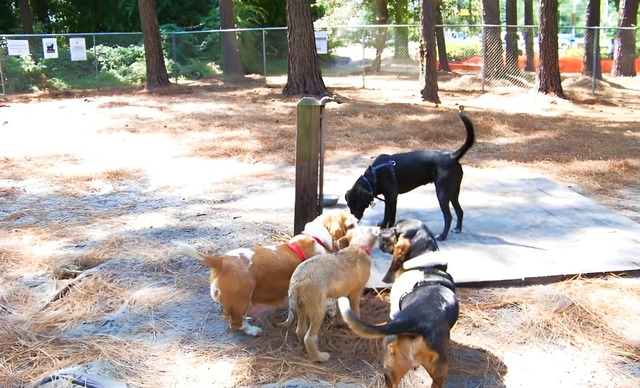Empie Park is just a short walk away, offering the perfect opportunity to bring your furry companion out for some fun and socializing. Dont miss out on the chance to enjoy a vibrant atmosphere together!