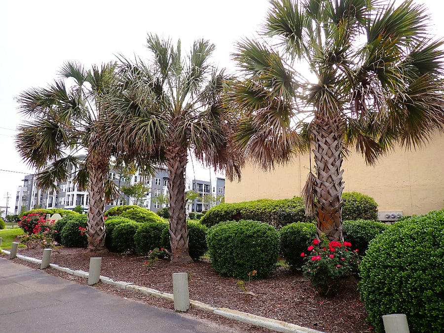 Furnished Finder property 489161_3 photo 18