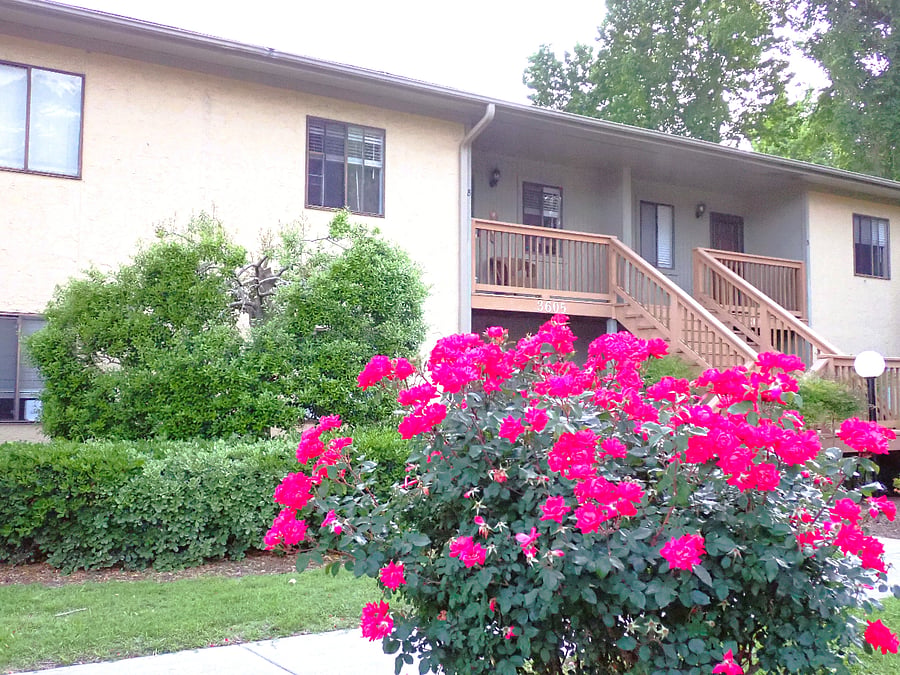 Furnished Finder property 489161_3 photo 20