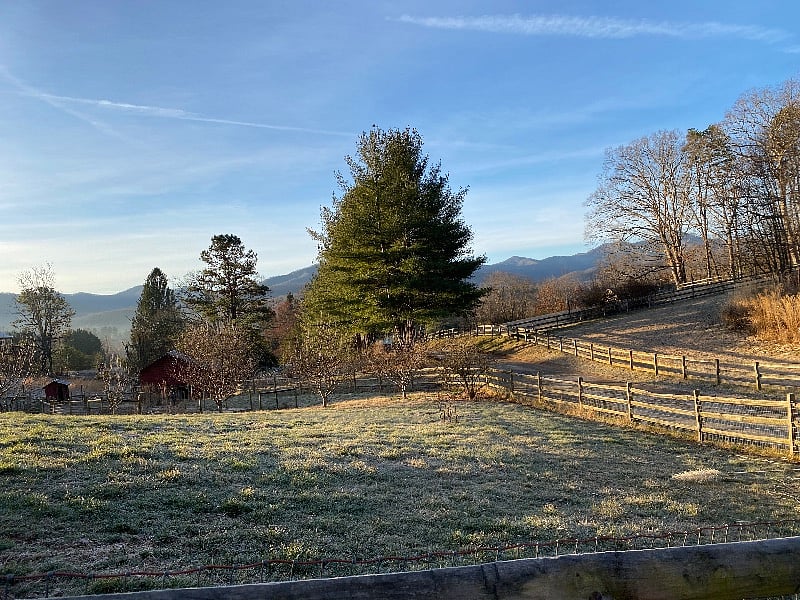 View of front yard and our street from the house. Barn with animals in background. Great neighborhood for walking.