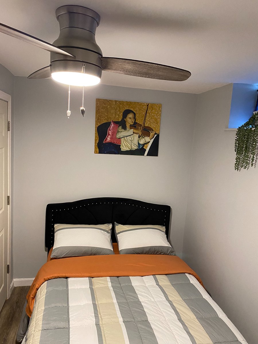 Furnished Finder property 489701_1 photo 20