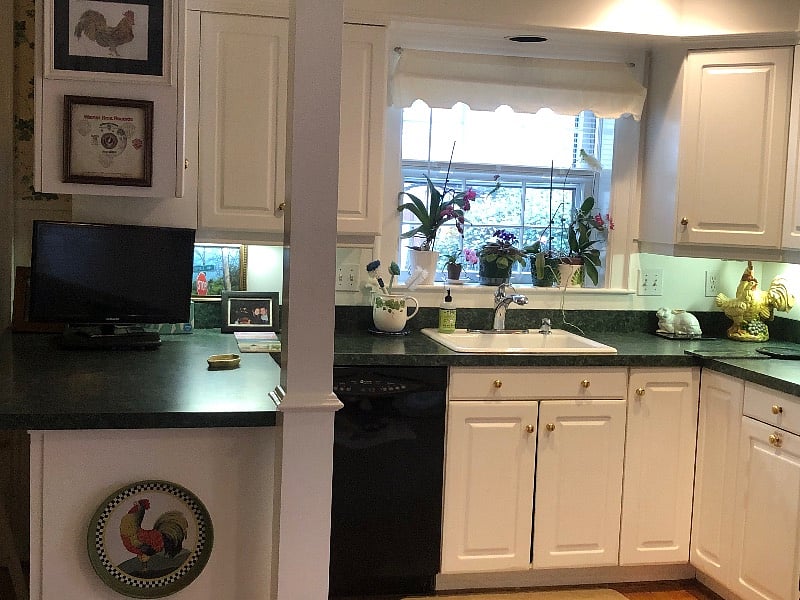 Kitchen with dishwasher and disposal.