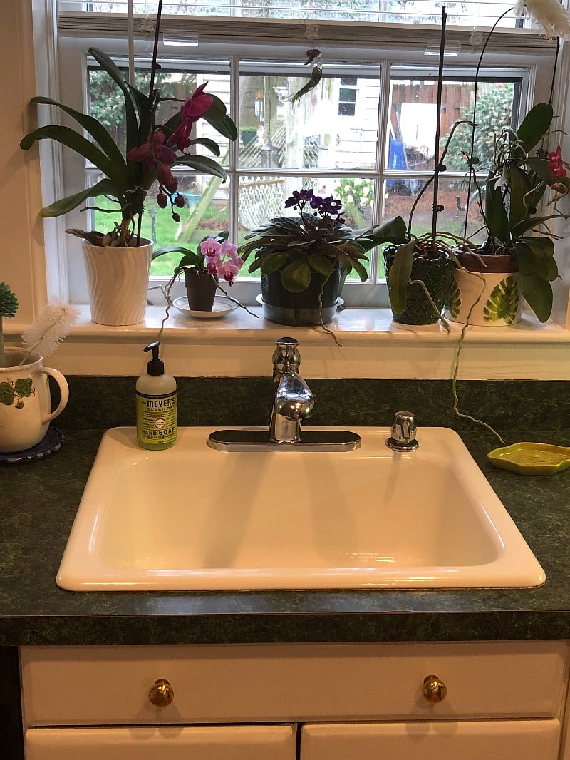 Furnished Finder property 489837_1 photo 24