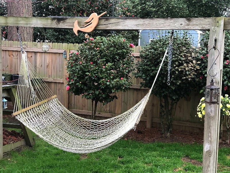Hammock in fenced backyard