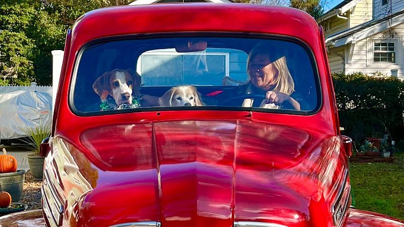 Me, with Milo and Aries on a journey.