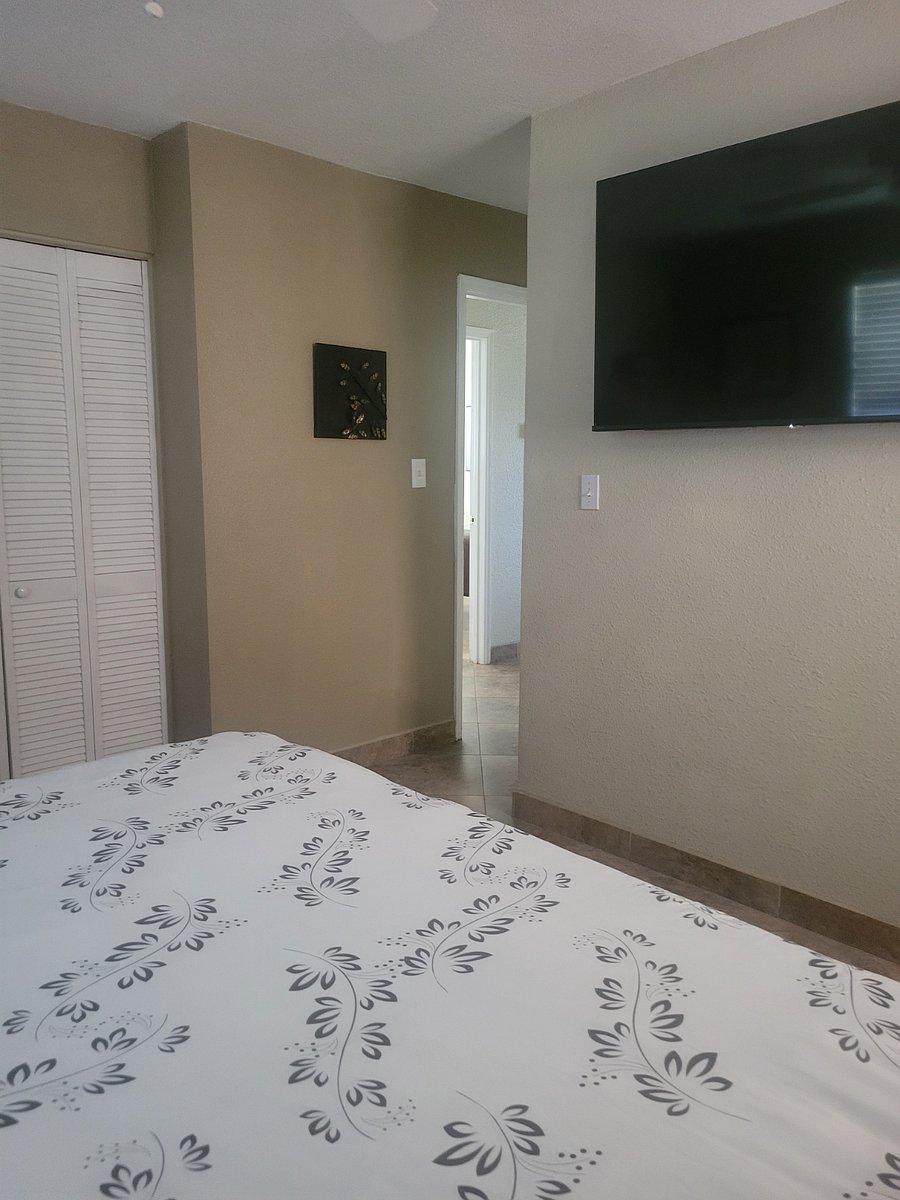 Furnished Finder property 489901_1 photo 21