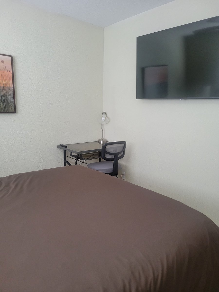 Furnished Finder property 489901_1 photo 23