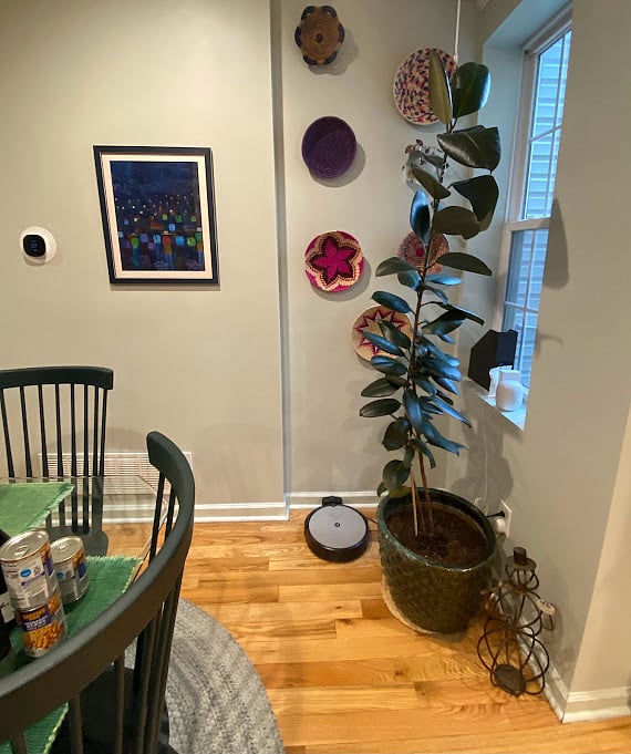 Furnished Finder property 490182_1 photo 4