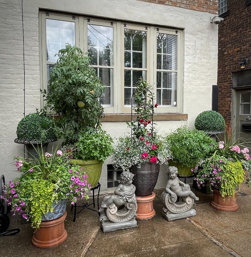 Planters at rear of Marie Building.