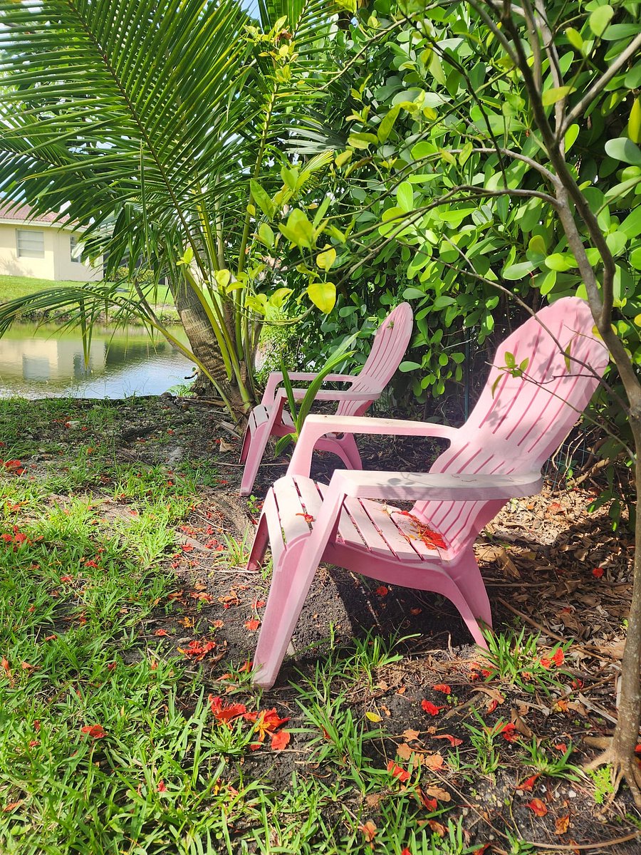 Furnished Finder property 490285_1 photo 11