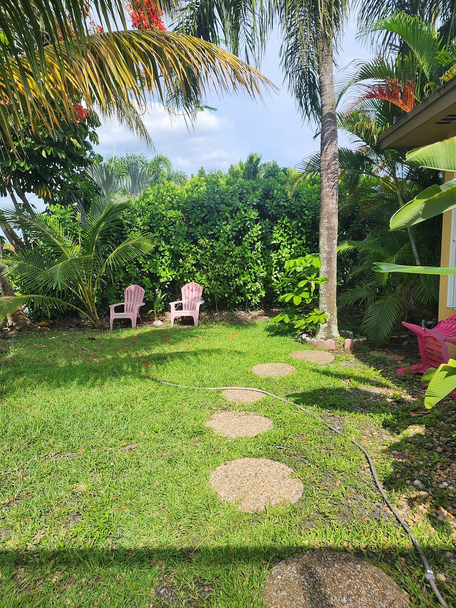 Furnished Finder property 490285_1 photo 12